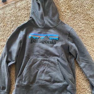 Patagonia hoodie